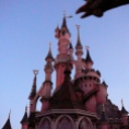 Disneyland by day