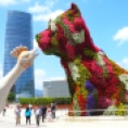 Massive Flower Dog, Bilbao